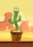 Dancing Cactus (Recording + Singing)