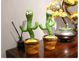 Dancing Cactus (Recording + Singing)