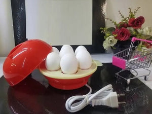 Electric Egg Boiler the Best Egg Cooking Gadget